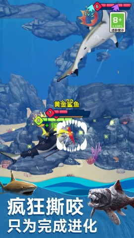 17457417833129