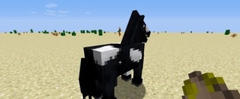 ҵʷ 5ͼ