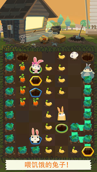 17457485965248