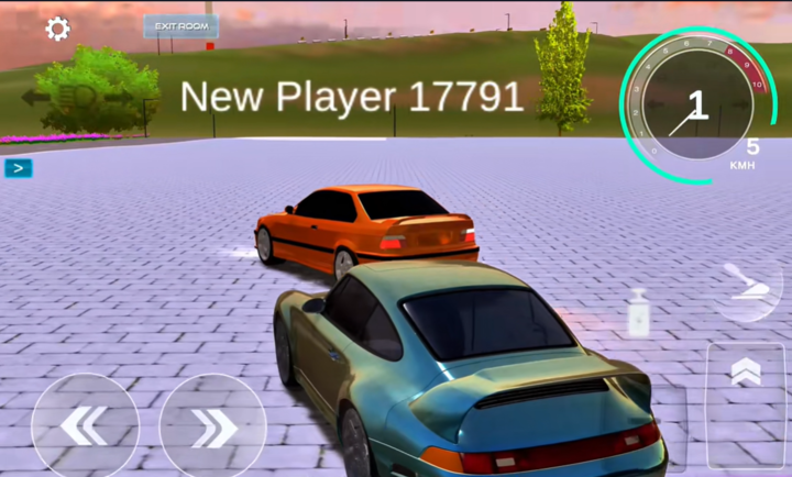 17466690757444
