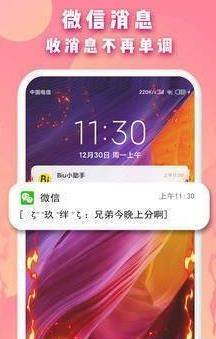 BiuԵ 2ͼ