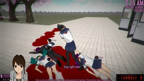 17467758054384