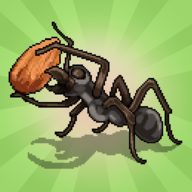 ڴϣPocket Antsװ v0.1013
