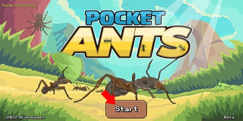 ڴϣPocket Antsװ 1ͼ