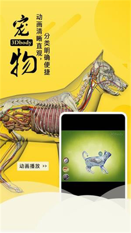 3dbody 1ͼ