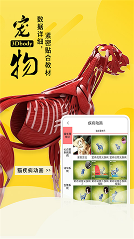 3dbody 2ͼ