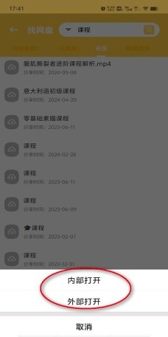 17473848029690