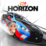 ƽ߹ʷ(Rally Horizon)