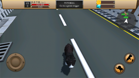 Zoom붯Zoom 2ͼ