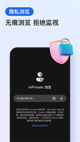 17478101229956