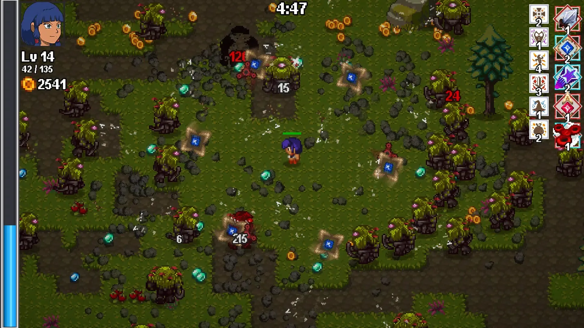 17478211024816