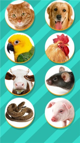 Pet Translator 2ͼ