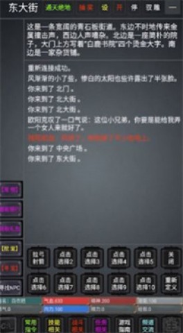17482480638603