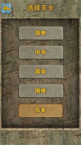 17489509475337