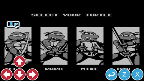 17493897244331