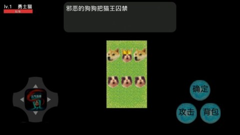 17491424336565