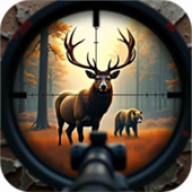 ʵ(Realistic Hunting Experience)