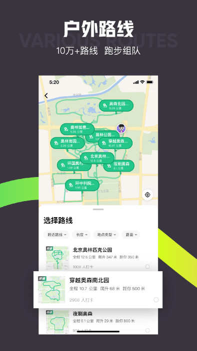 17500532428871