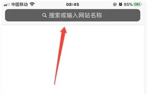 Safari 3ͼ