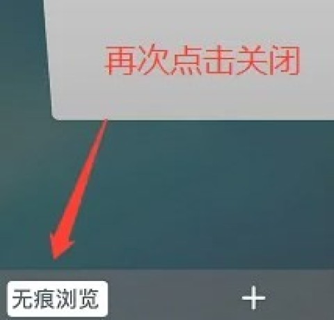 Safari 4ͼ