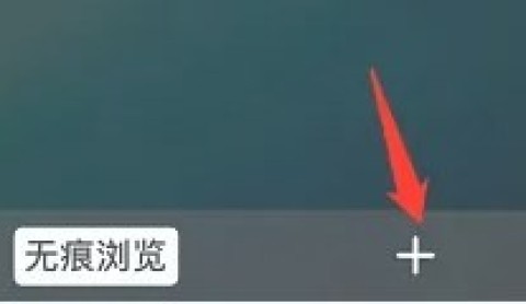 Safari 2ͼ