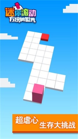 17501829596278