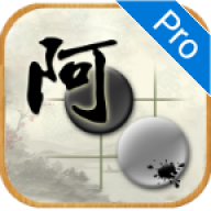 QΧרҵ棨AhQ Go Pro