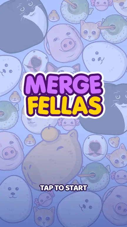 17513356287568