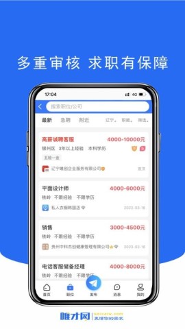 17510598667233