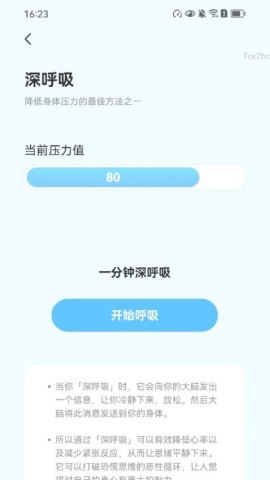 17513657787794