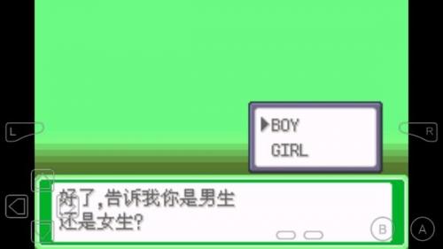 17518533397141