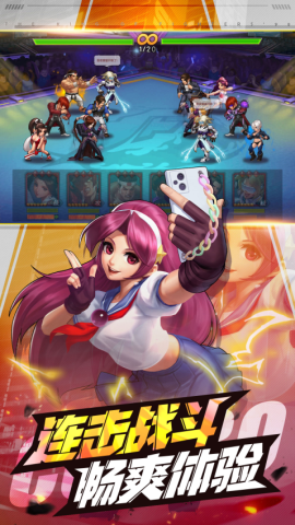 17530638284263