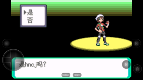 17533269713073