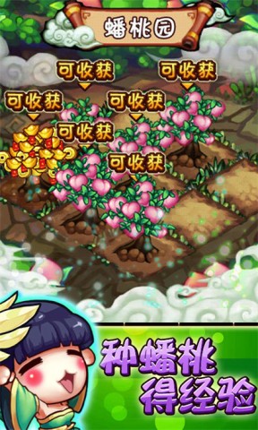 17533443916824
