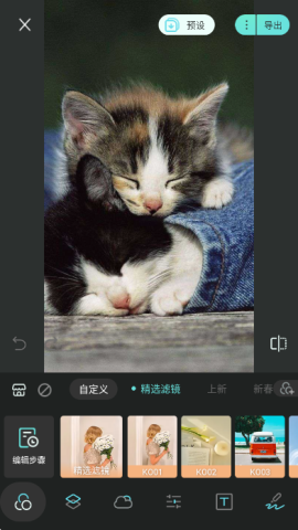 17521393542804