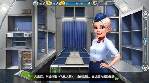 airplane chefs 1ͼ