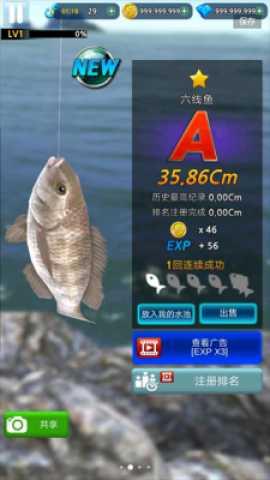 17532011948270