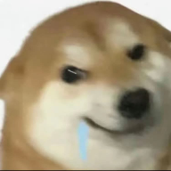 â