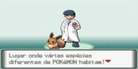 17542361682263