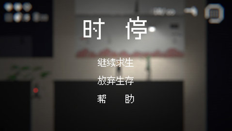 17550561064925