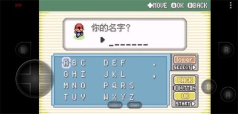 17550738432411