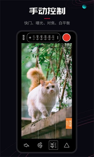 20250108102259948