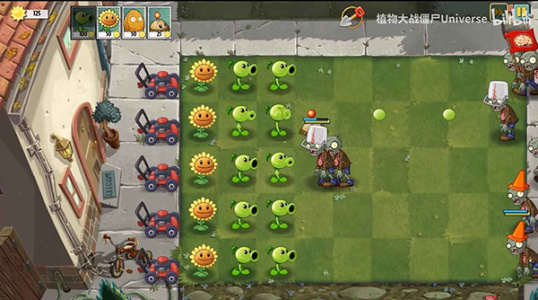 17555027735691