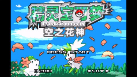 17550773018305
