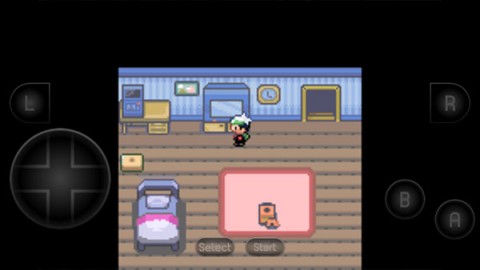 17550773043359