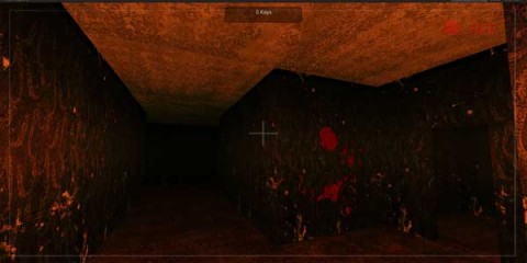 17535158199533