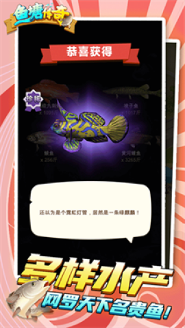 17558571011562