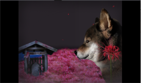 ղ湷ռ 7ͼ