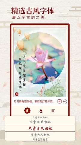 17535095243360