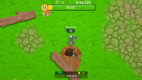 17555213358074